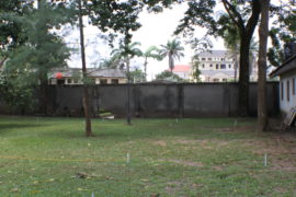 IMG_2552 IMG_2552
