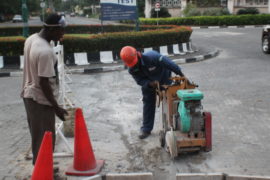 IMG_2593 IMG_2593